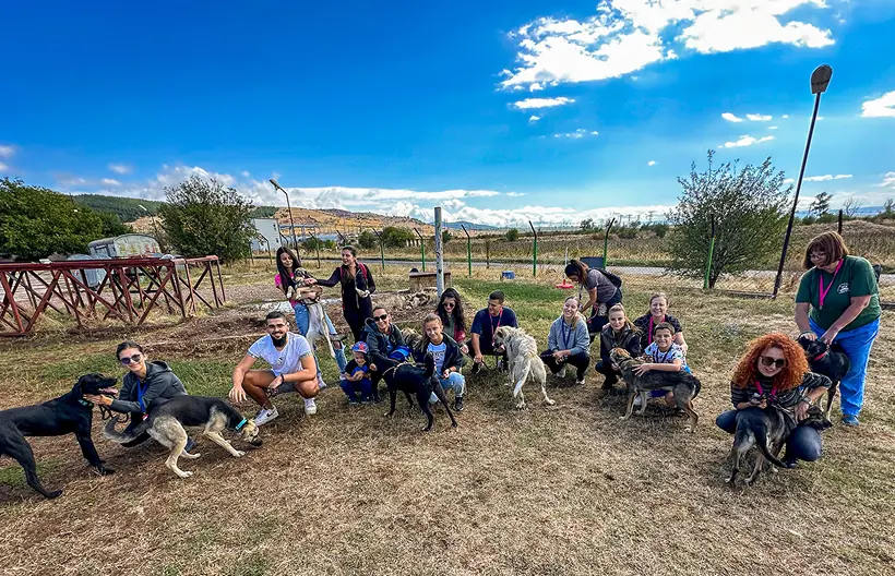 Spreading Love: A Day of Support for Sofia’s Stray Dogs